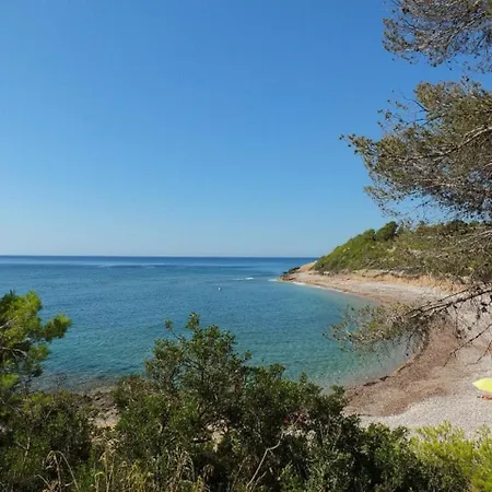 Lorenza Villa *