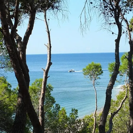 Lorenza Villa